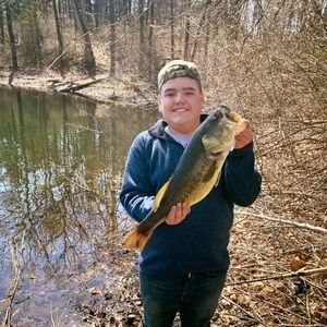 Meet your Posher, Nick